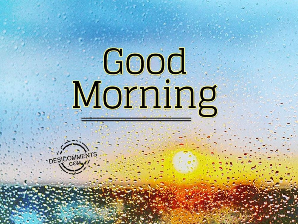 Beautiful Good Morning Images Rainy