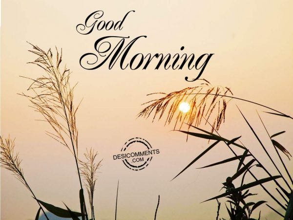 Have A Fabulous Day – Good Morning