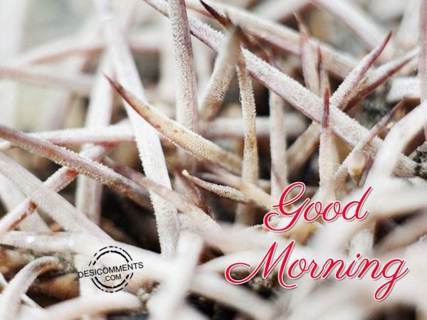 Have A Good And Great Day – Good Morning