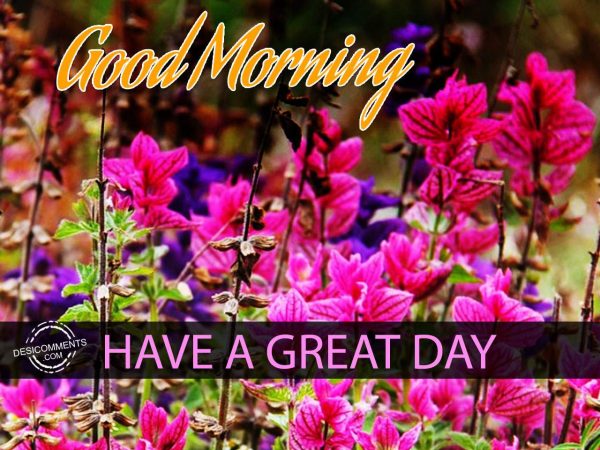 Have A Great Day – Good Morning