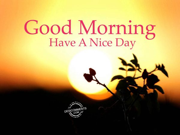 Have A Nice Day - Good Morning