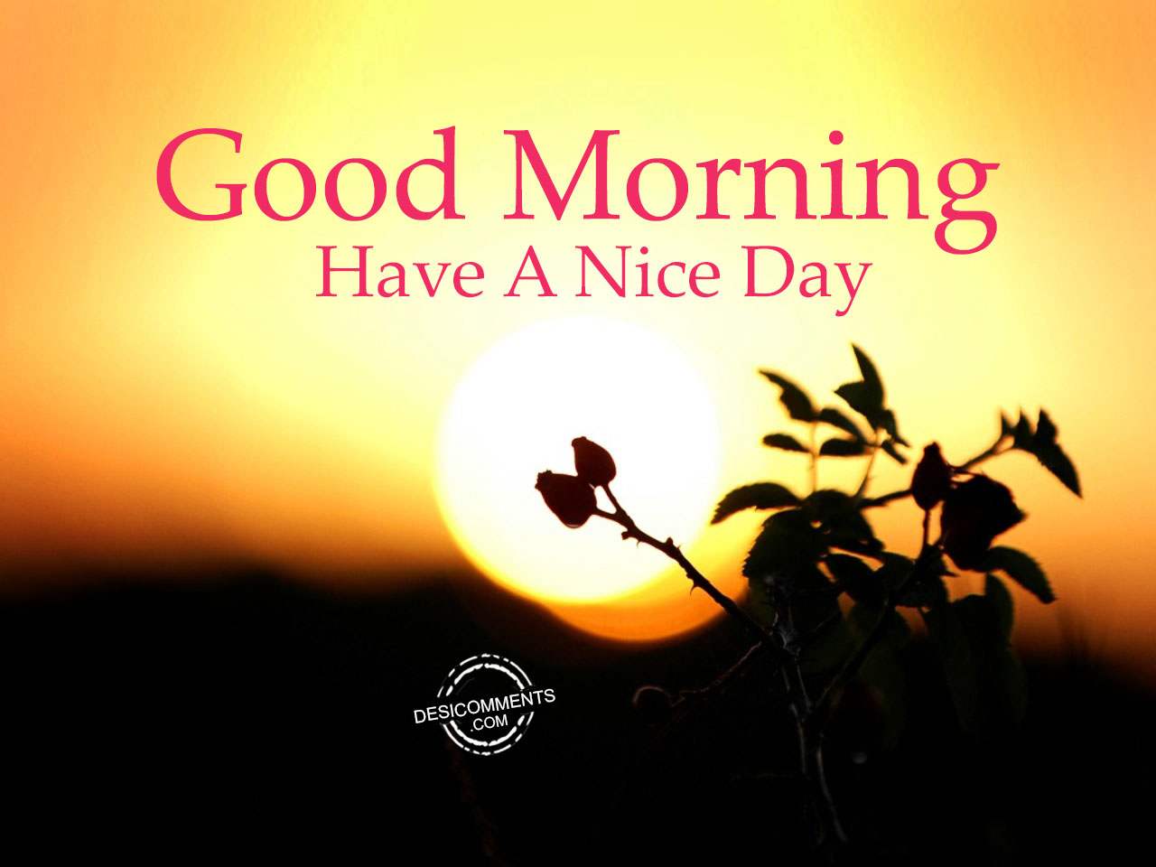 Have A Nice Day – Good Morning - DesiComments.com