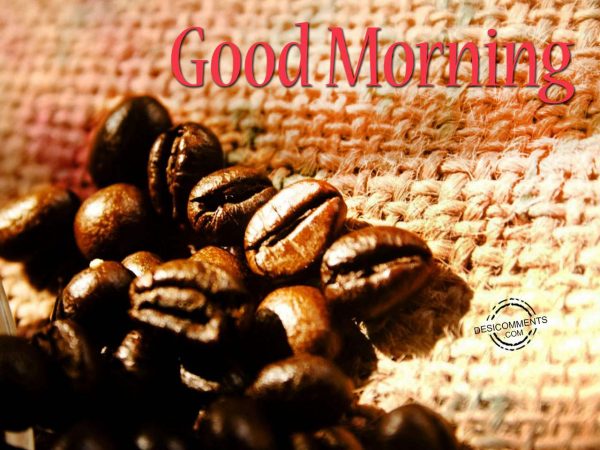 Have A Great Day – Good Morning