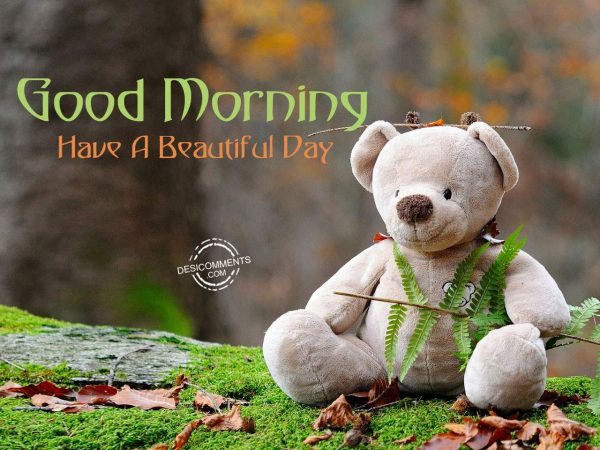 Image Of Good Morning – Have A Beautiful Day