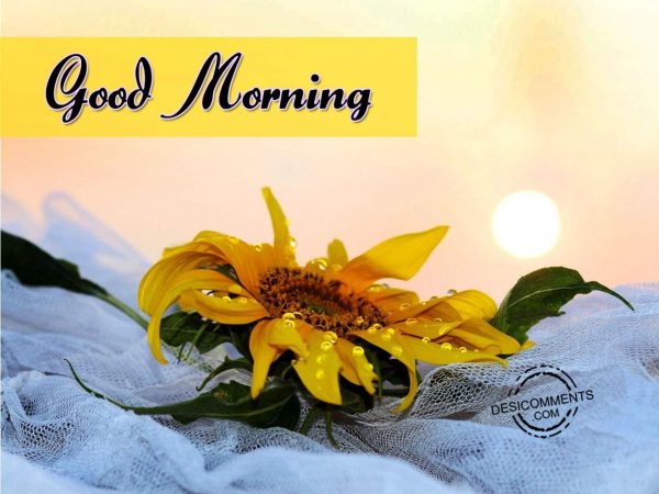 Image Of Good Morning – Have A Fabulous Day