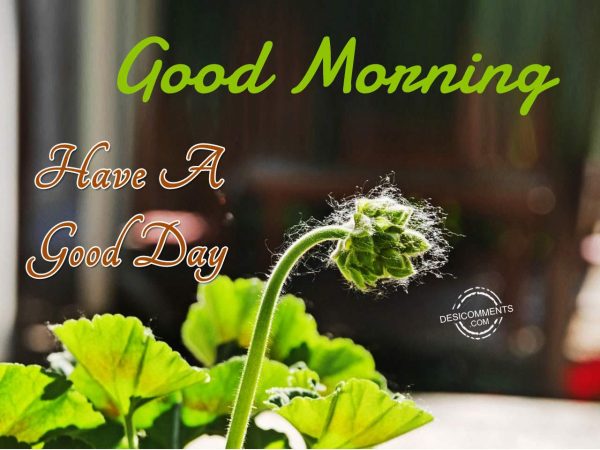 Image Of Good Morning – Have A Good Day