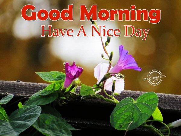 Image Of Have A Nice Day - Good Morning