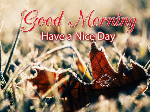 Image Of Image Of Good Morning – Have A Nice Day