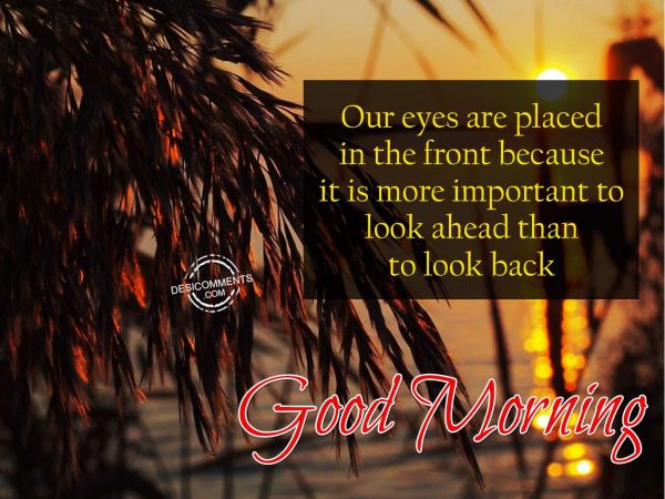 Our Eyes Are Placed In The Front - Good Morning