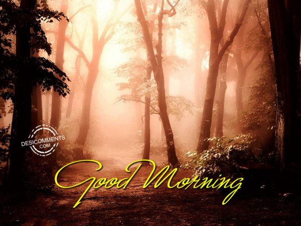 Photo Of Good Morning – Have A Happy Day