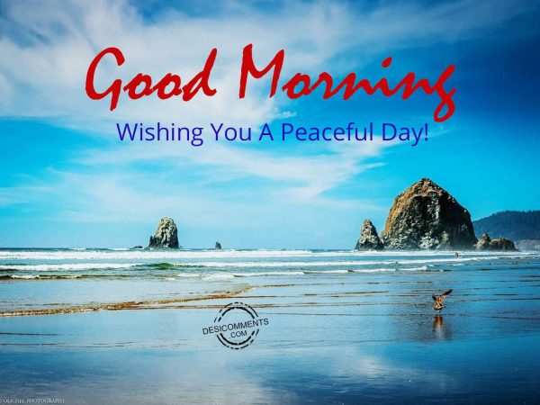 Photo Of Good Morning – Wishing You A Peaceful Day