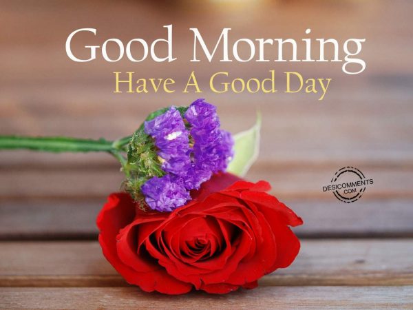 Picture Of Image Of Good Morning – Have A Good Day