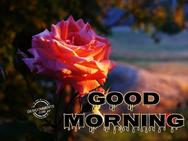 Wishing You A Beautiful Day – Good Morning