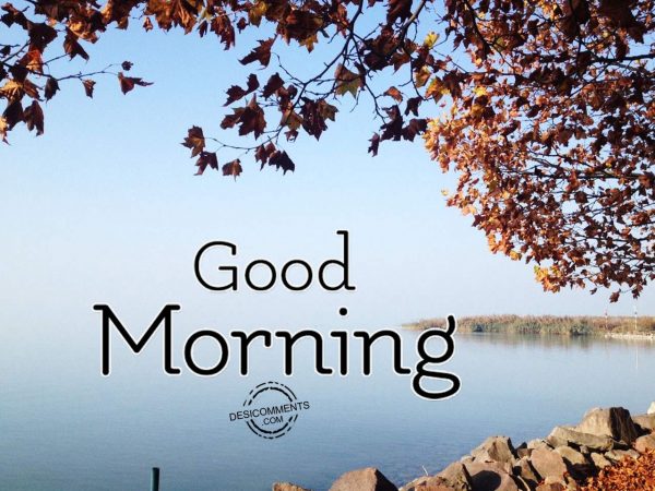 Wishing You A Great Day - Good Morning