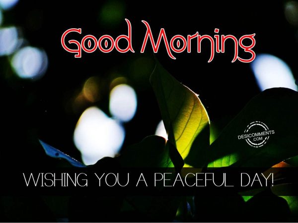 Wishing You A Peaceful Day - Good Morning
