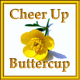 Cheer Up Butterfly