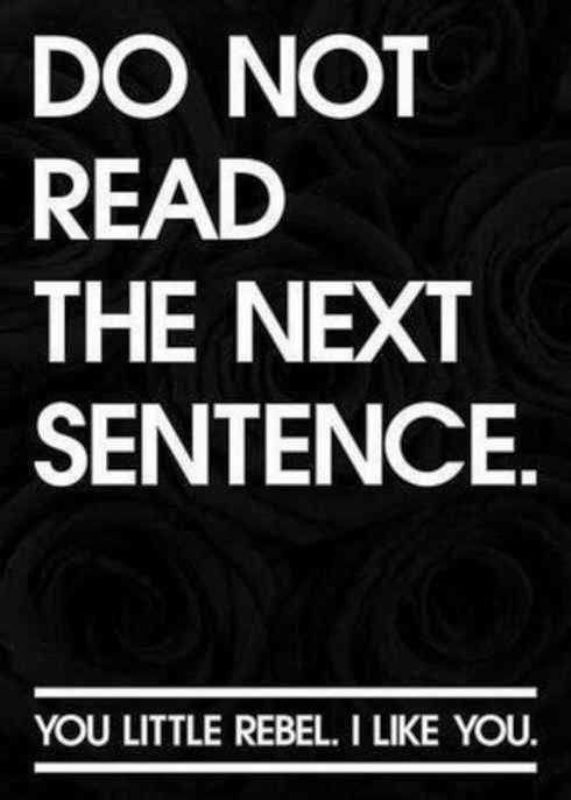 Do Not Read The Next Sentence