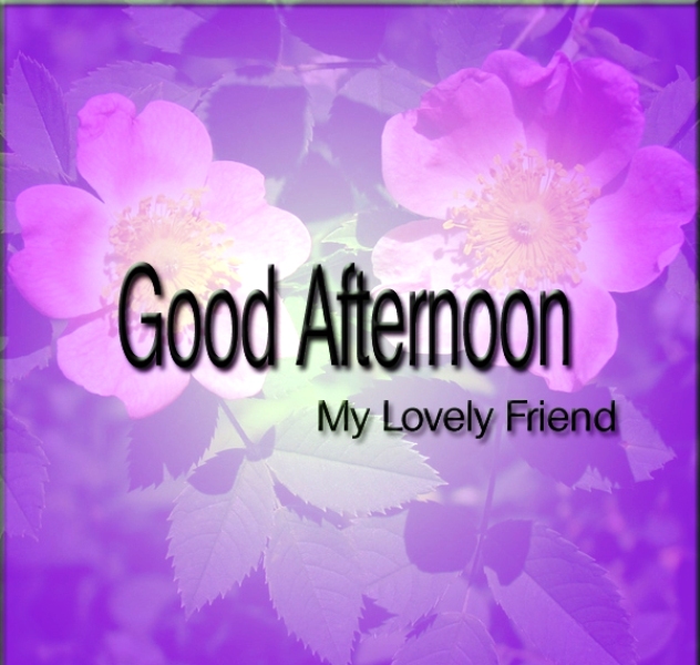 อันดับหนึ่ง 92+ ภาพ ภาพ Good Afternoon ครบถ้วน