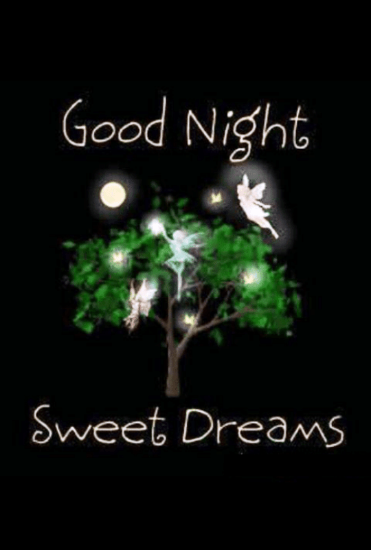 Good Night Sweet Dreams