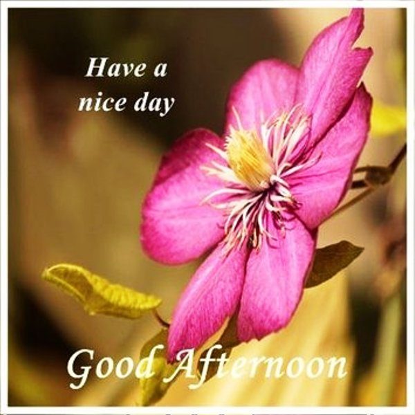 Have A Nice Day