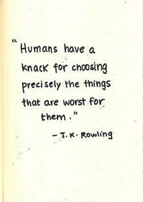 Humans Have A Knack For Choosing