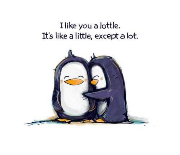 I Like You A Lottle