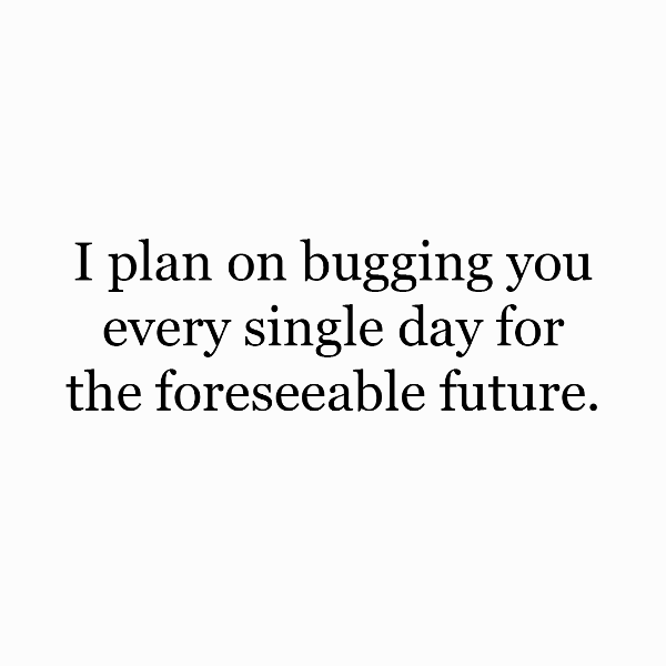 I Plan On Bugging You