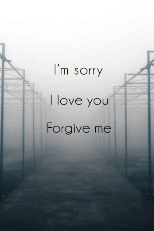 Im Sorry I Love You Forgive Me