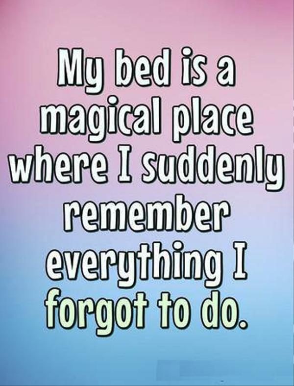 My Bed Is Magical Place