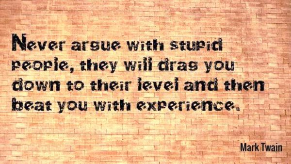 Never Argue With Stupid