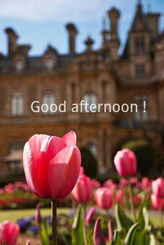 520+ Good Afternoon Pictures, Images, Photos - Page 3