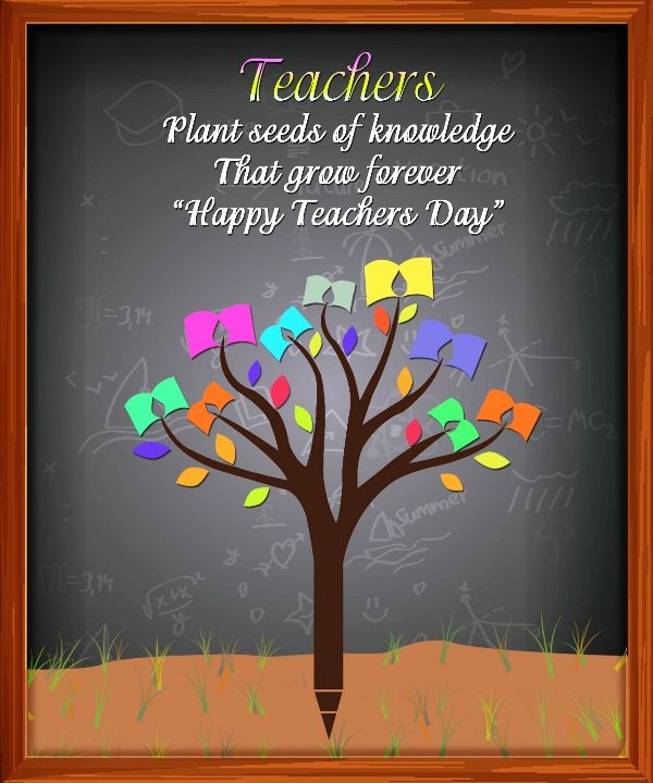 Teachers Plant Seeds