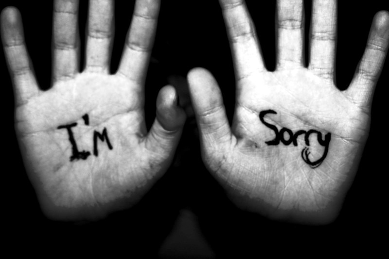 Im Sorry Pic