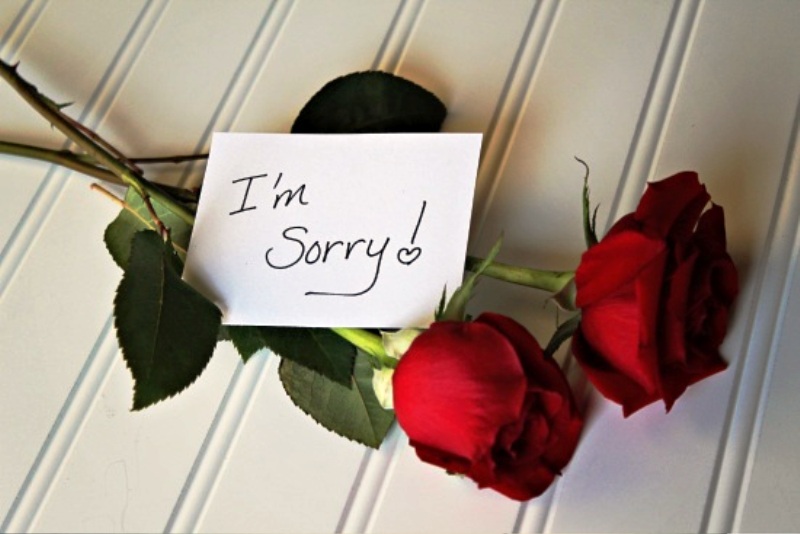 I’m Sorry With Roses