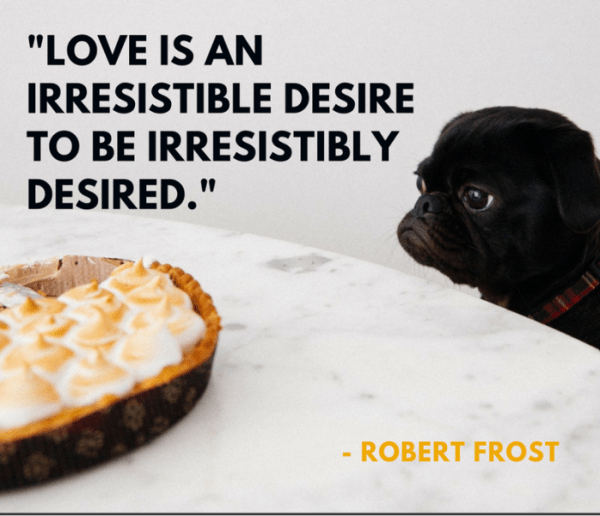 Love Is An Irresistible Desire