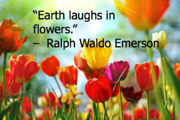 Earth Laughs In Flowers
