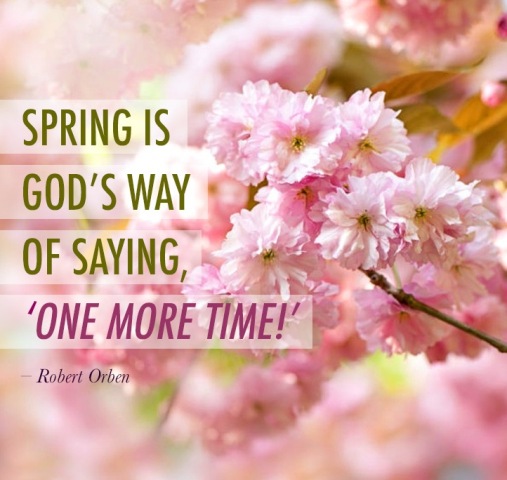 Spring Is God's Way Of Saying