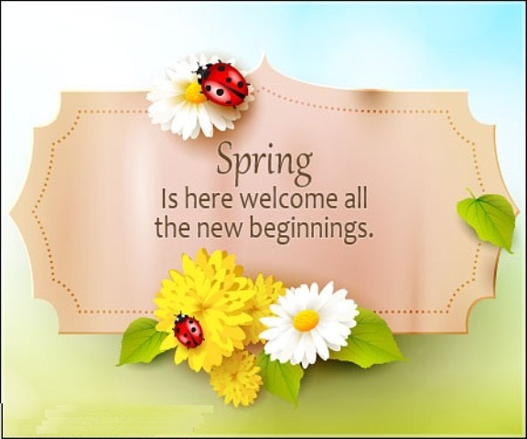 Spring Is Here Welcome All The New Beginnings