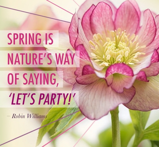 Spring Is Nature’s Way Of Saying