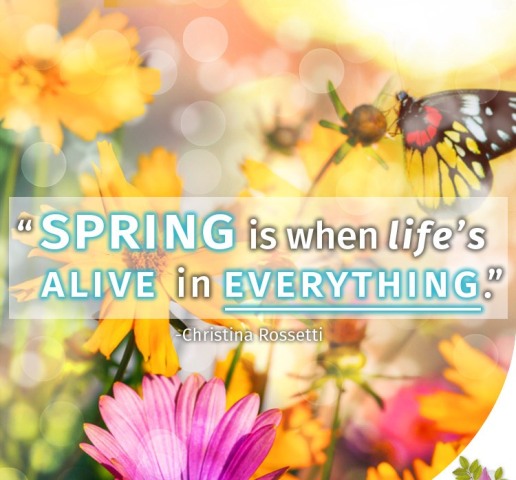Spring Is When Life’s Alive In Everything