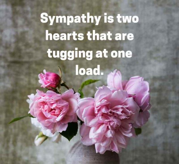 Sympathy Is Two Hearts That