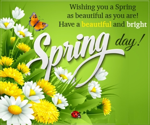 Wishing You A Spring