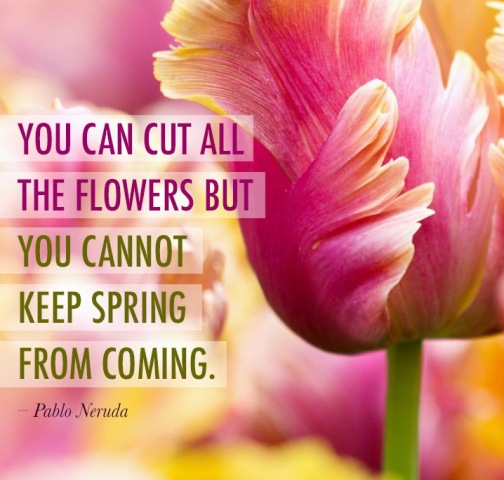 You Can Cut All The Flowers