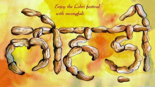 Enjoy The Lohri Festival With Moongfali