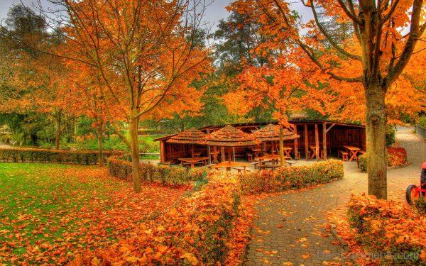 Autumn Fall Wallpaper Image
