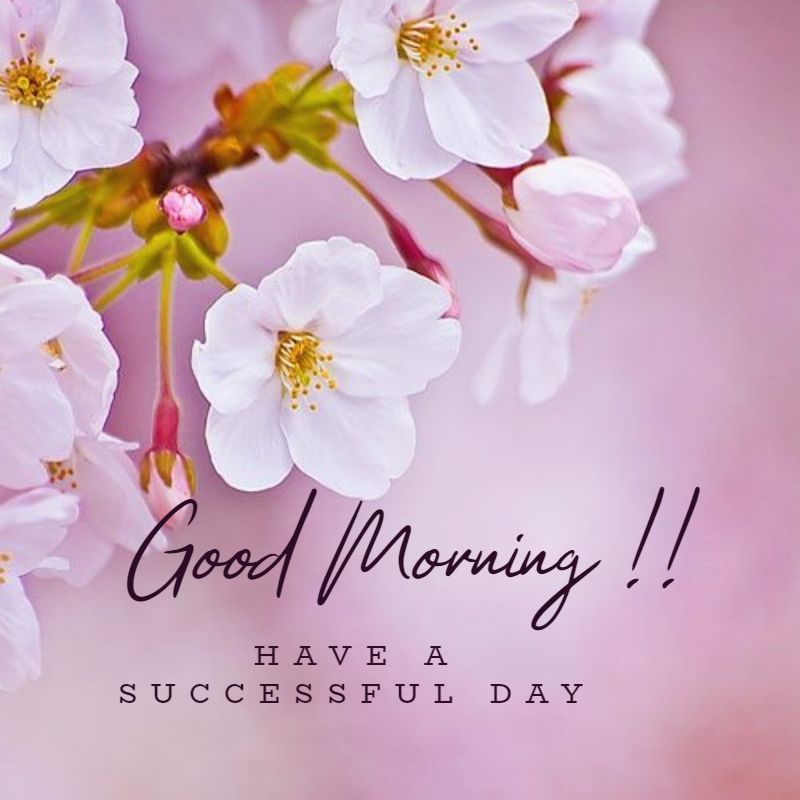 Good Morning Have A Successful Day Desi Comments good-morning-have-a-successful-day-desi-comments