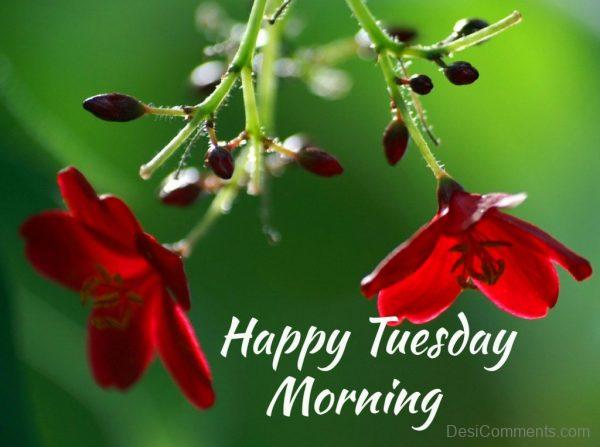 Happy Tuesday Morning