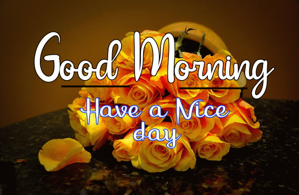 Good Morning Have A Nice Day