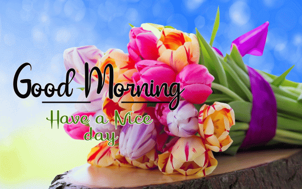 Good Morning Flower Image