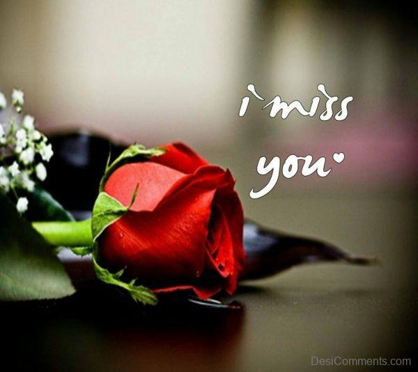 I Miss You With Red Rose On The Side